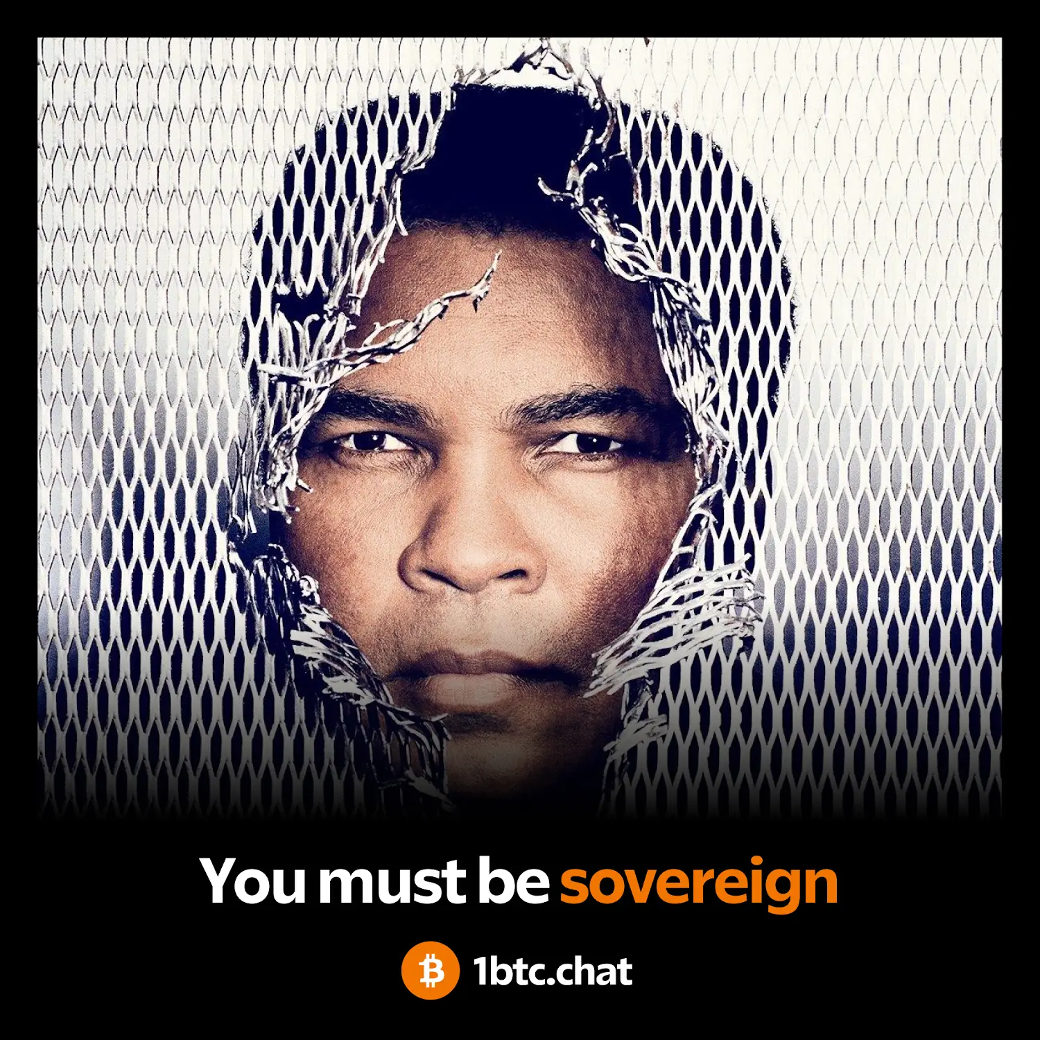 You Must Be Sovereign - 1btc.chat